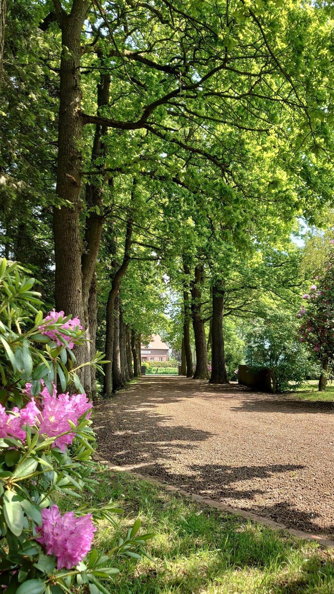 De Tuun - Landhaus Luebbertsfehn Ihlow  ภายนอก รูปภาพ